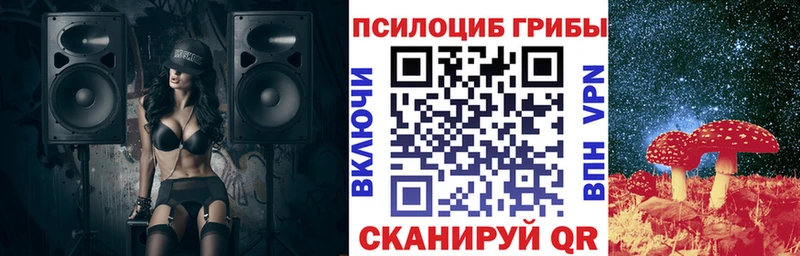 дарнет шоп  Донской  Псилоцибиновые грибы GOLDEN TEACHER 